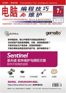 電腦編程技巧與維護 提升效率與保障穩(wěn)定性的雙翼